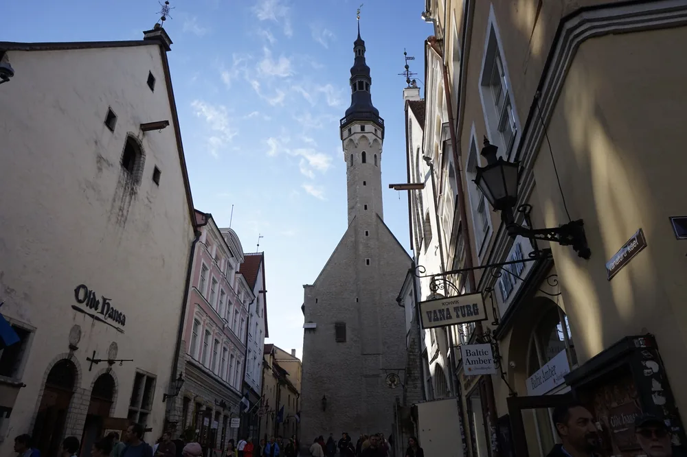 Wieża ratusza w Tallinie widziana z wąskiej uliczki Starego Miasta
