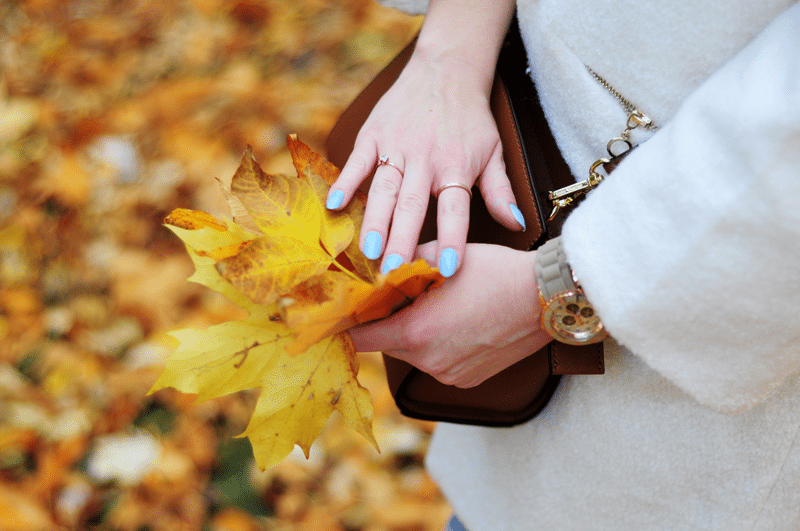 złota jesień pierścionki kors polska park saski lublin