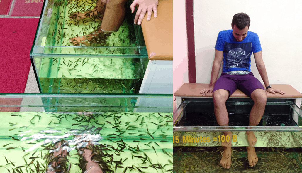 fish spa foot thailand